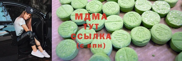 индика Горнозаводск