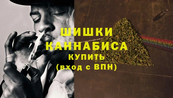 стафф Гусиноозёрск