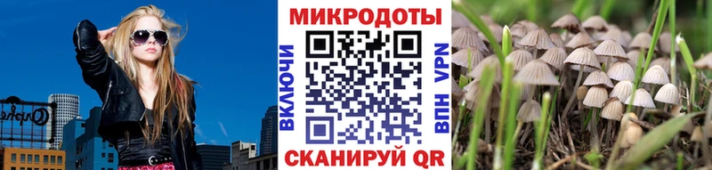 Псилоцибиновые грибы Psilocybine cubensis  blacksprut ссылка  Чулым 